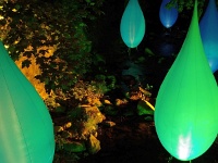 Salz- und Lichterfest Bad Harzburg 2013 5